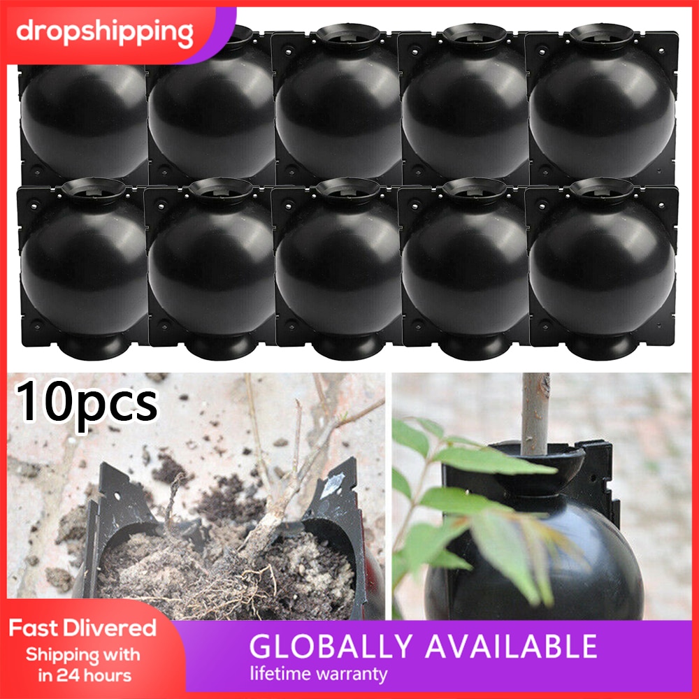 10 large Plant High Pressure propagation ball Grafting Rooting Device