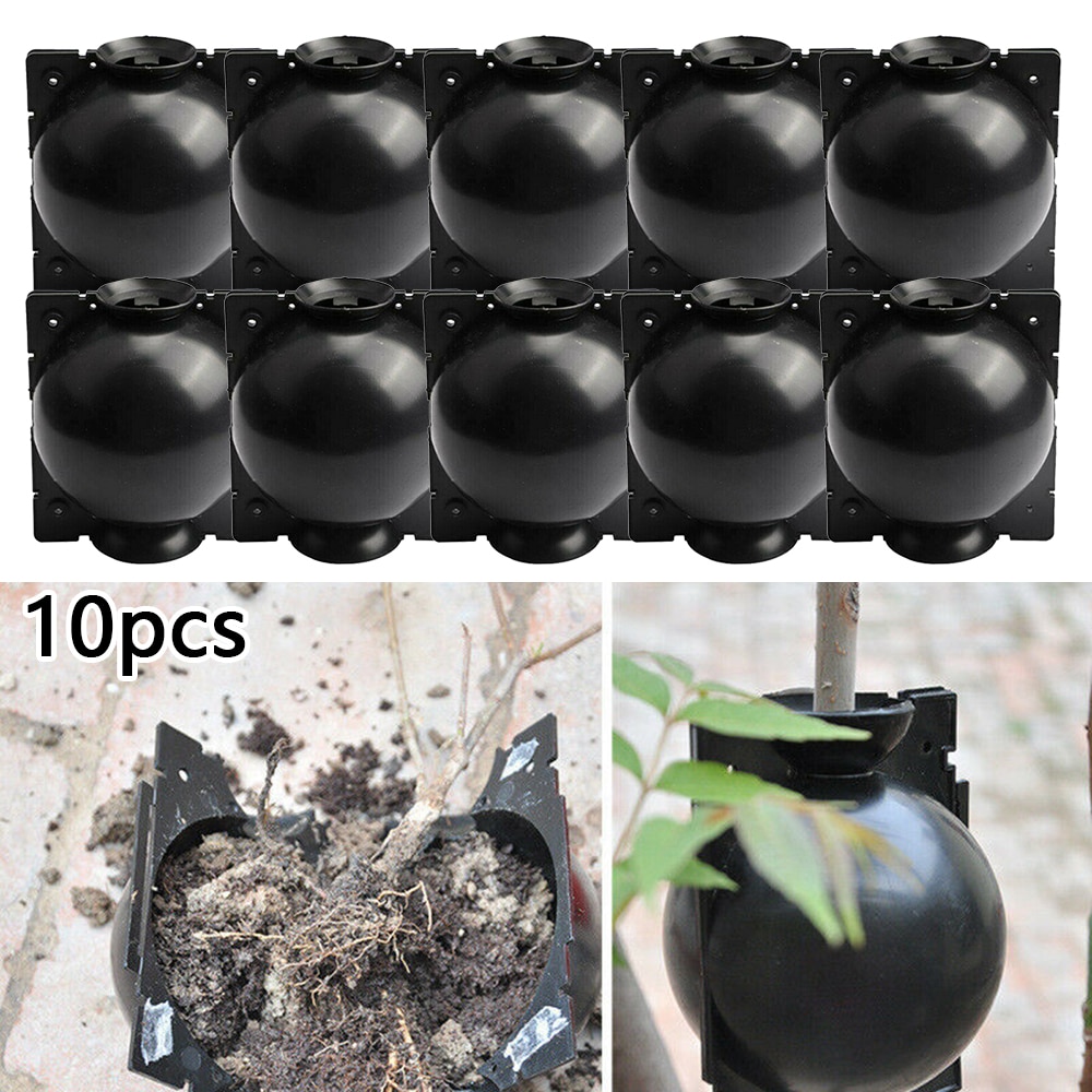 6 pcs/10 Pcs Plant Rooting Equipment High Pressure Propagation Ball Growing Box Breeding Case For Garden Graft Box Sapling